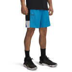 UA BASELINE SHORT 