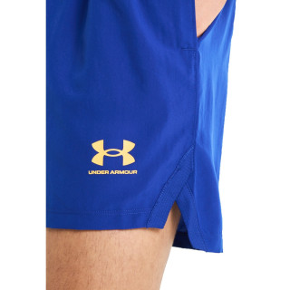 Men's UA Accelerate Shorts