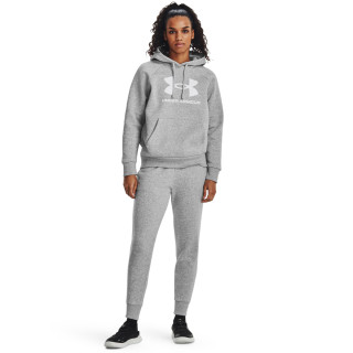 UA RIVAL FLEECE BIG LOGO HDY