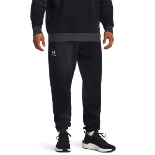 UA ESSENTIAL FLC NOVELTY JGR