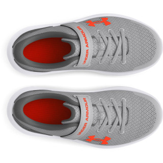UA BPS SURGE 4 AC