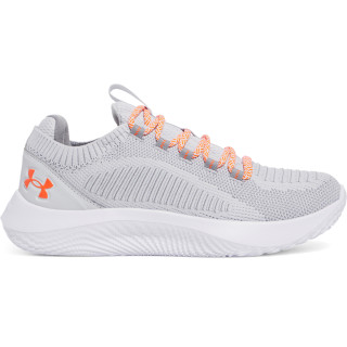 UA DYNAMIC 2 
