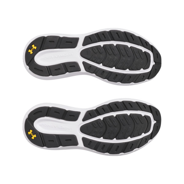 UA CHARGED ROGUE 5