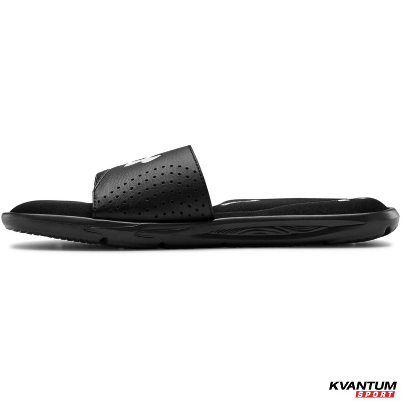 Ua ignite slides 2025